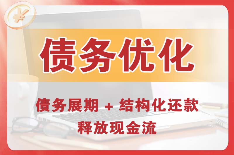 盐山债务优化