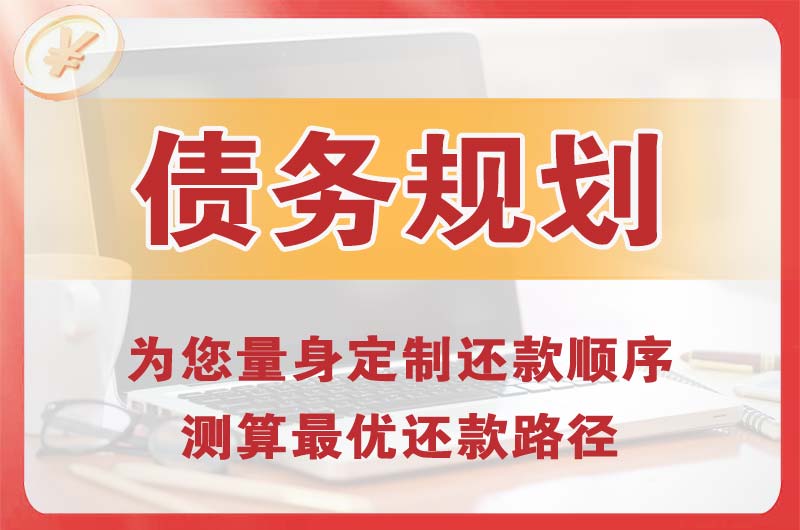 盐山债务规划